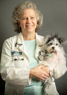 Dr. Judy Lapham